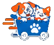 Perro y gato en carrito